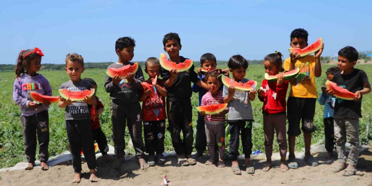 Tescilli Adana Karpuzu Dünya Sofralarını Da Süslüyor