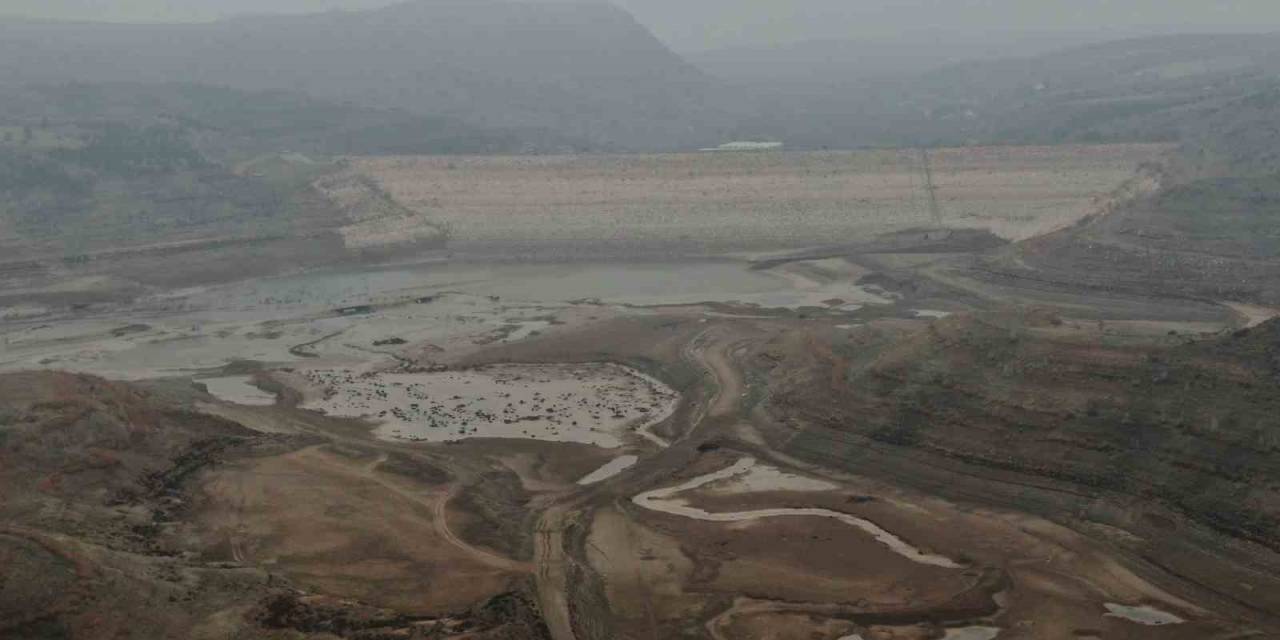 Sevindiren Manzara, Çöle Dönmüştü Adeta Yeniden Doldu Taştı