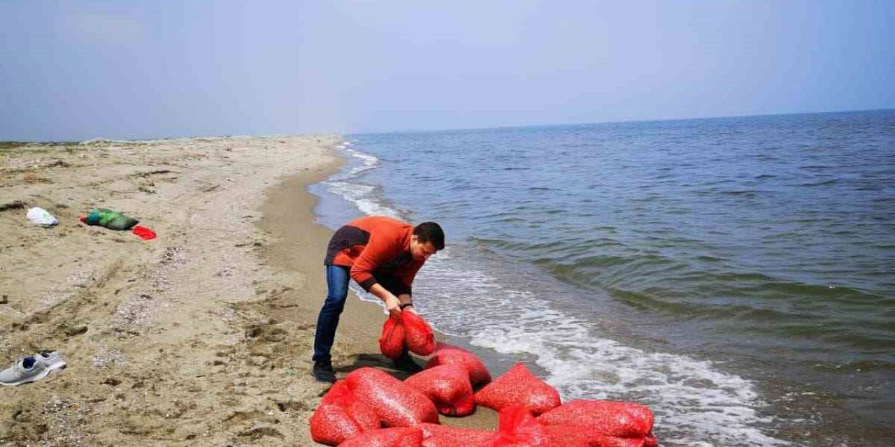 Yasak Dönemde Midye Avcılığı Denetimi Devam Ediyor