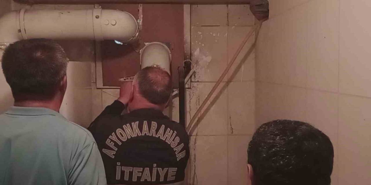 Ak Parti İl Binasında Kedi Kurtarma Operasyonu