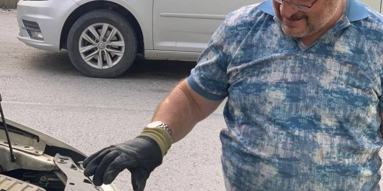 Manisa’da Sürücünün Dikkati Yavru Kediyi Kurtardı