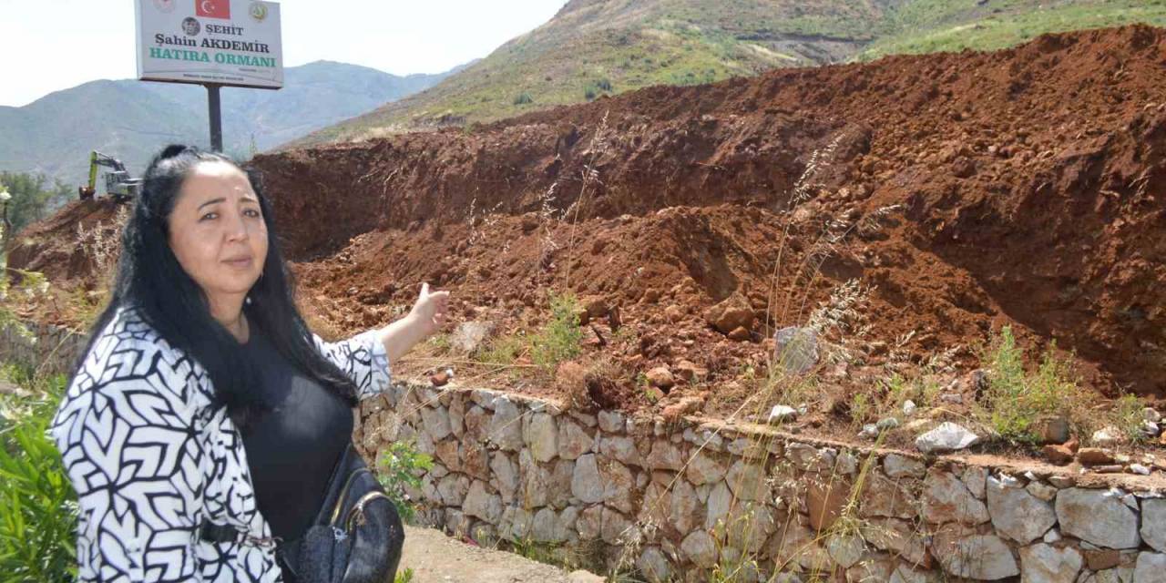 Hatıra Ormanı’nda Dikilen Fidanlar, Toprağın Altında Kaldı