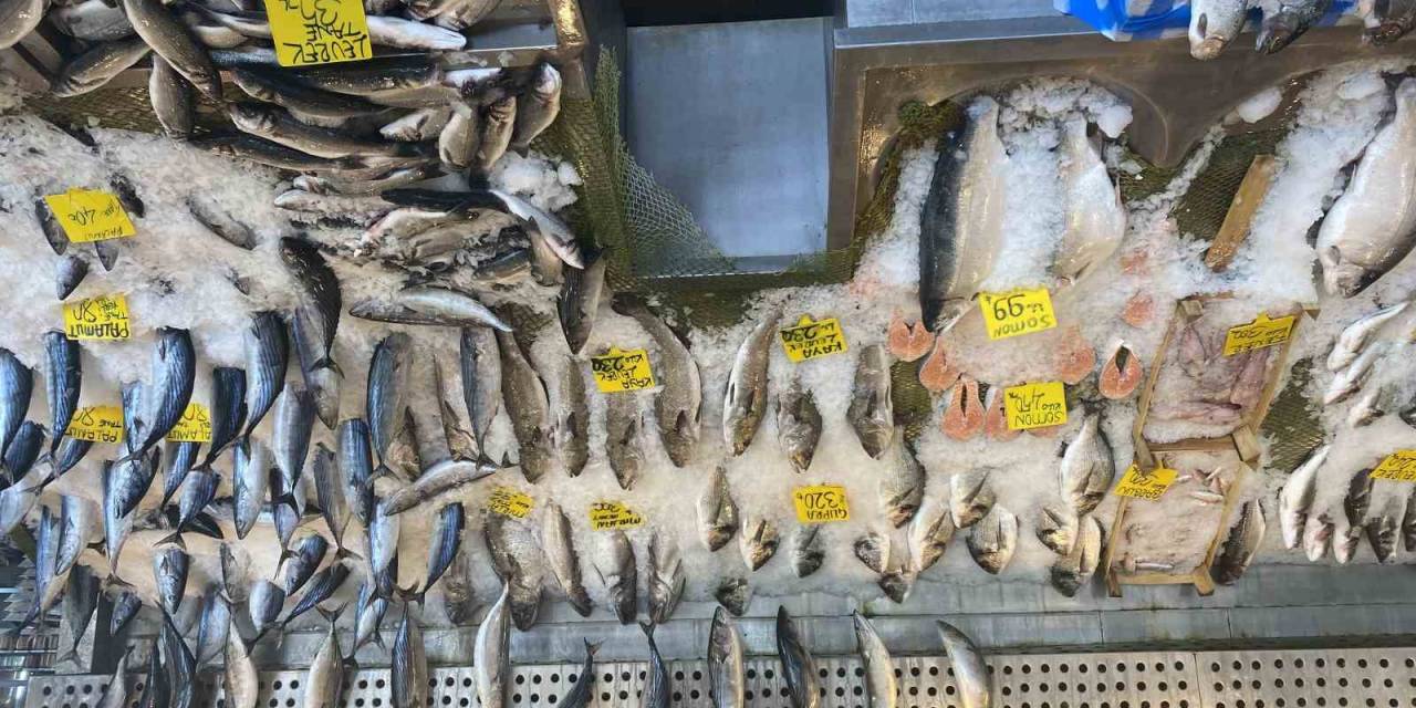 Balık Fiyatları Düştü, Karadeniz Somonu 300 Yerine 100 Liradan Satılıyor