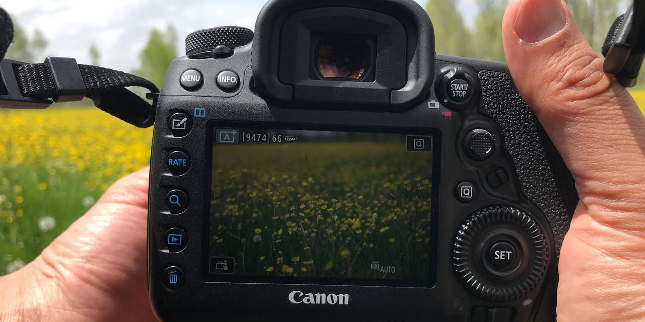 Baharın Gelmesiyle Birlikte Tarlalarda Açan Kanolalar Görsel Şölen Oluşturdu