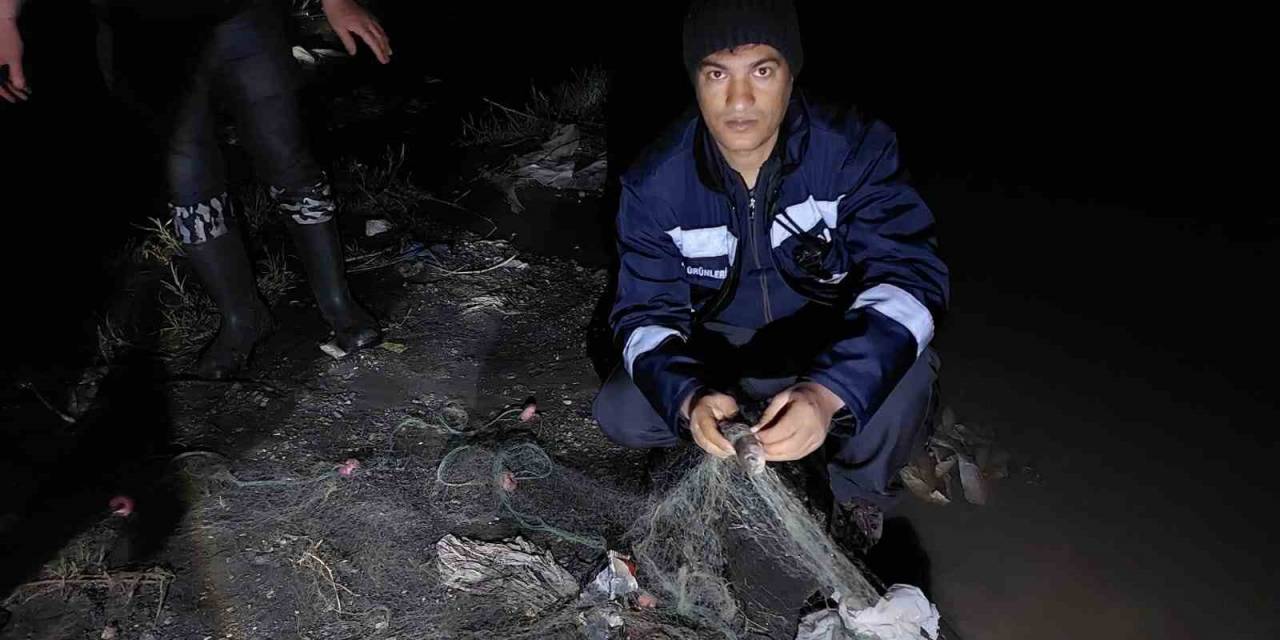 Van’da 500 Kilogram İnci Kefali Kurtarıldı