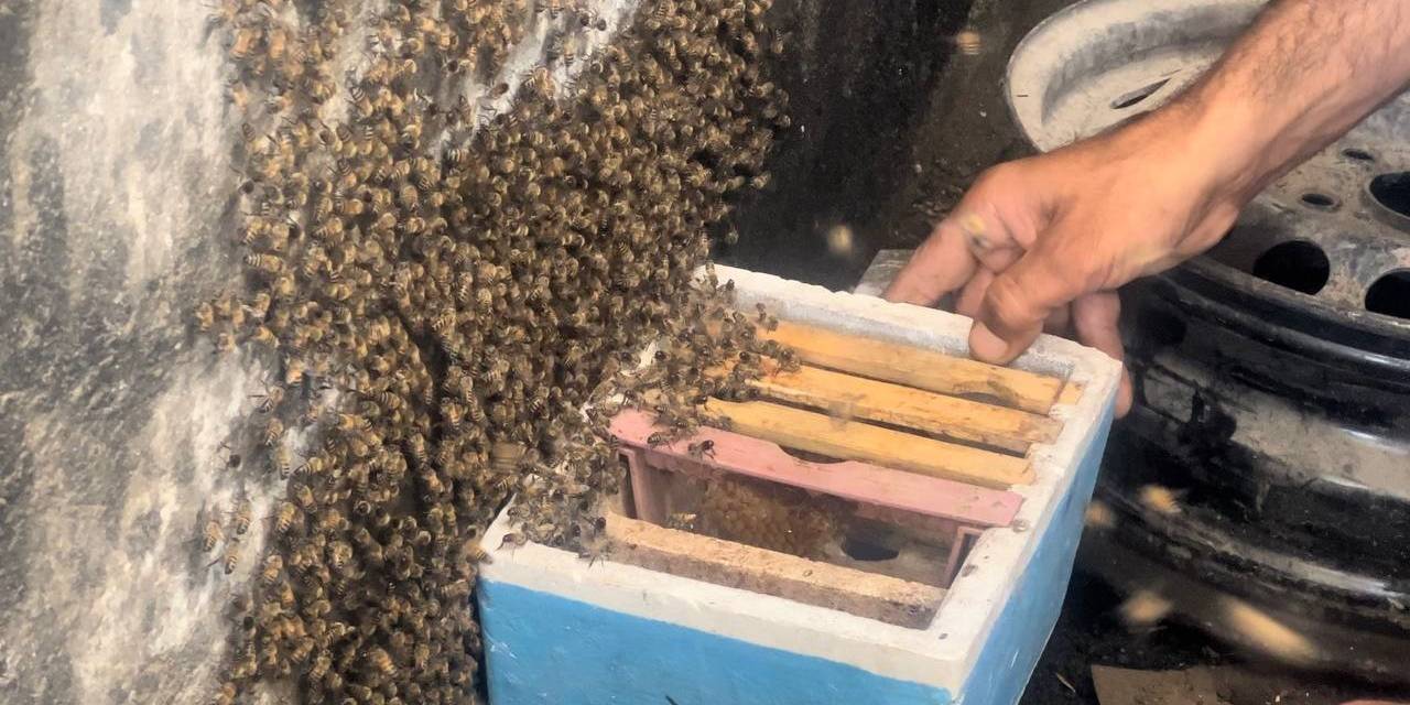 Dükkanını Açtığında İlginç Bir Manzarayla Karşılaştı