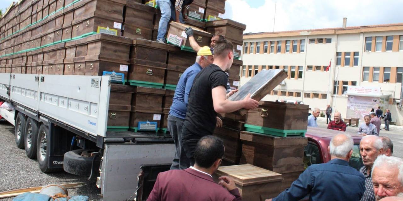 Bin 400 Arı Kovanı Dağıtıldı, Hedef Mevcut 80 Bin Sayısını 250 Bine Çıkartmak