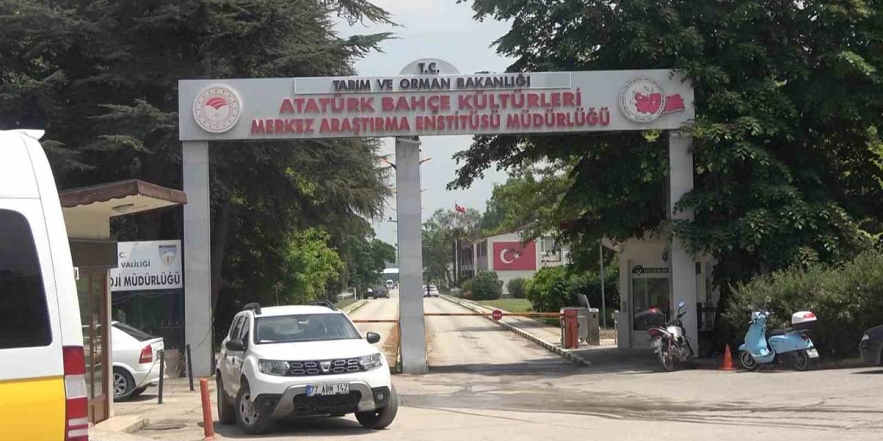 Yalova Atatürk Merkez Araştırma Enstitüsünde Korkutan Yangın