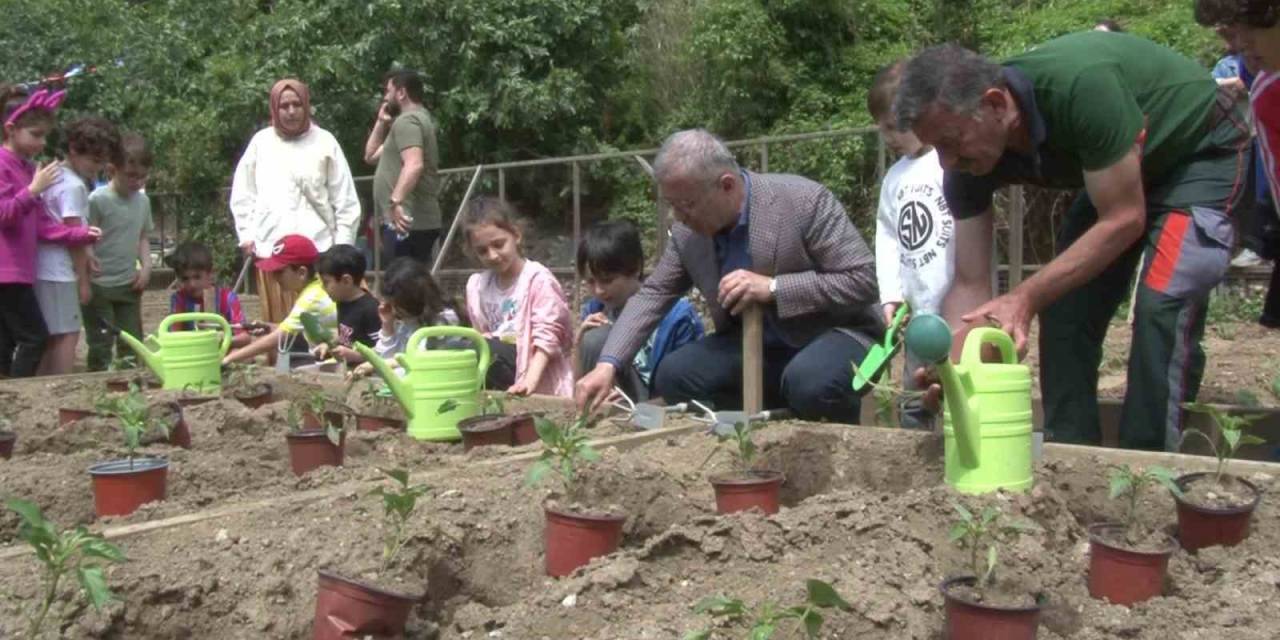 Ata Tohumu Fideler Üsküdar’da Toprakla Buluştu