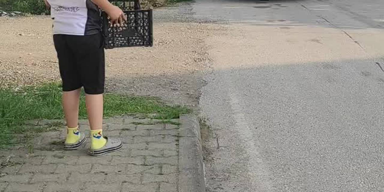 Yuvadan Düşen Kuşu Fark Eden Çocuğun Merhameti Dikkat Çekti