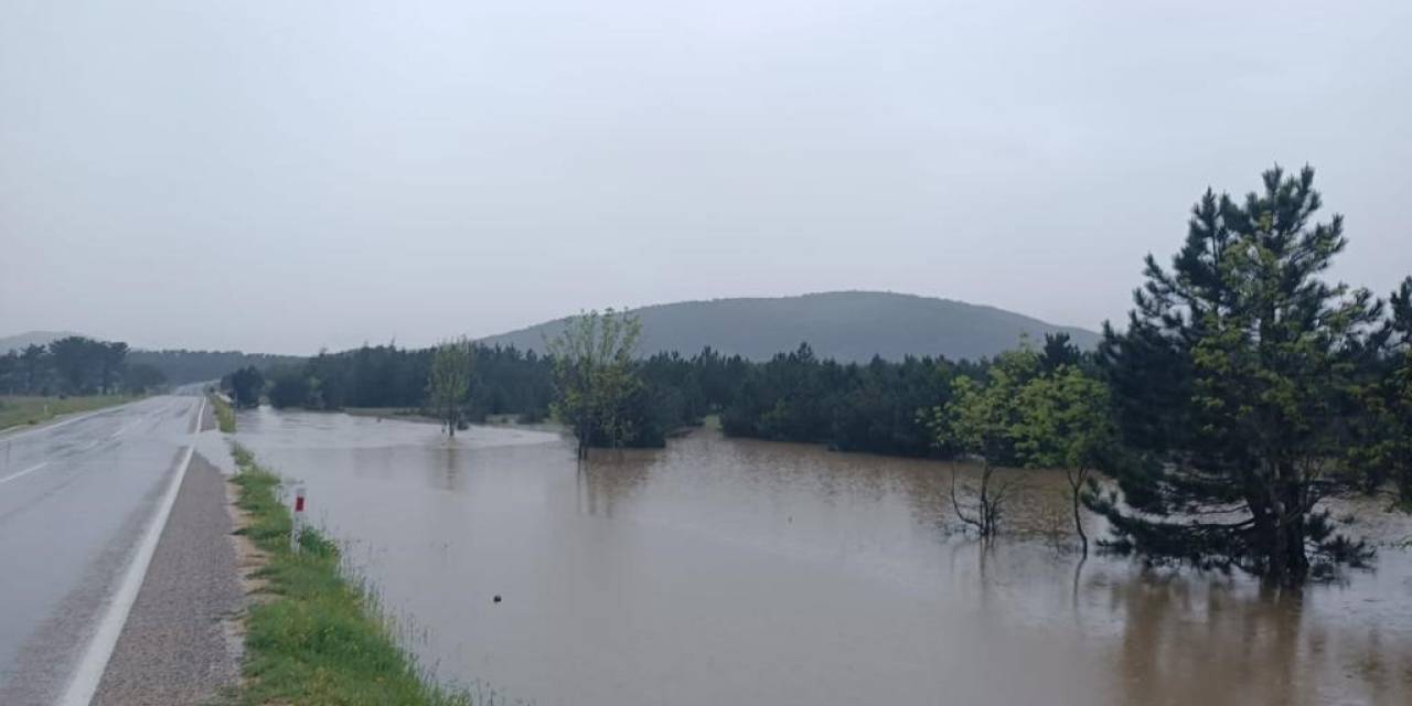 Eskişehir Seyitgazi İlçesi Sele Teslim Oldu