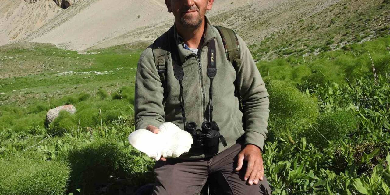 Yağmurların Ardından Vatandaşlar Mantar Topluyor