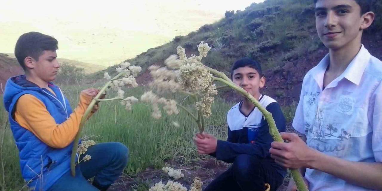 Eşgin Tezgâhlara Çıktı, Demeti 30 Lira