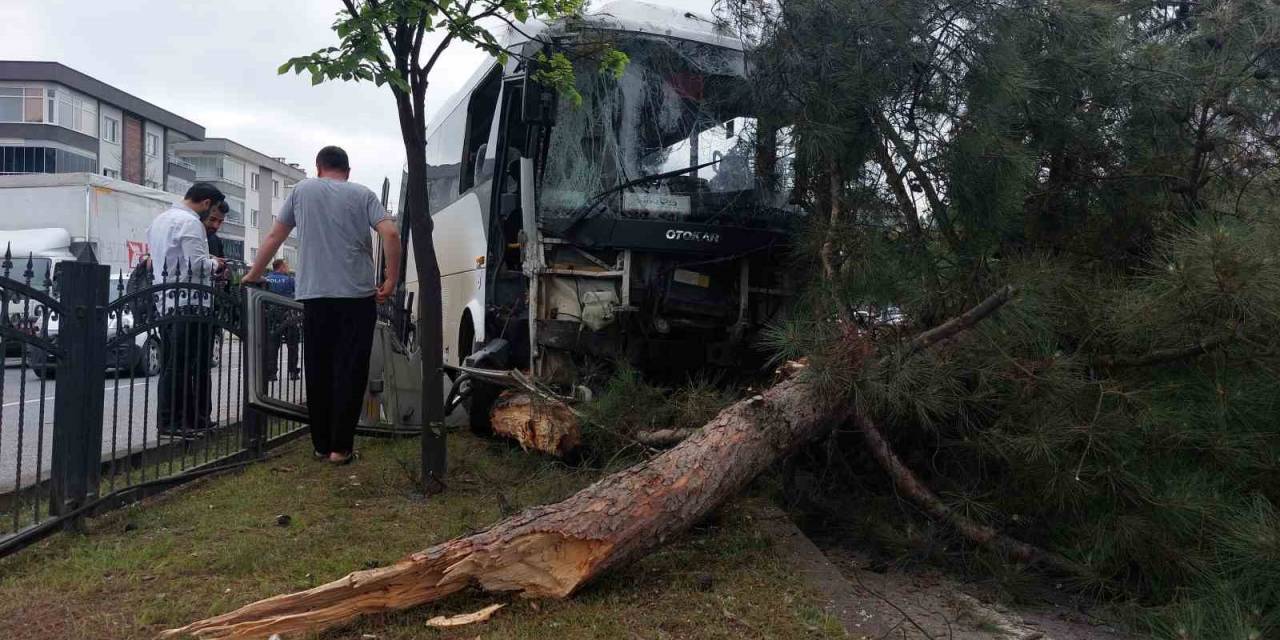 Samsun’da 9 Kişinin Yaralandığı İşçi Servisi Kazasında Polis, Yaralı Karga Yavrusuna Da Hastaneye Götürdü