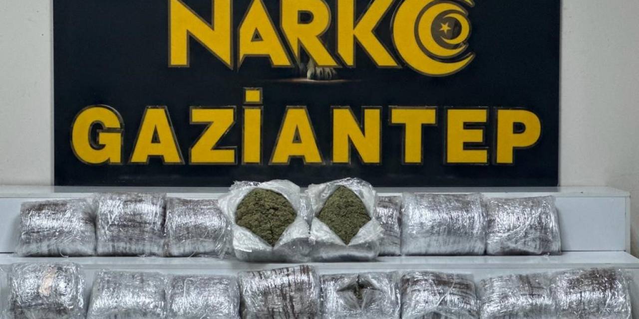 Gaziantep’te 24 Kilo Skunk Ele Geçirildi