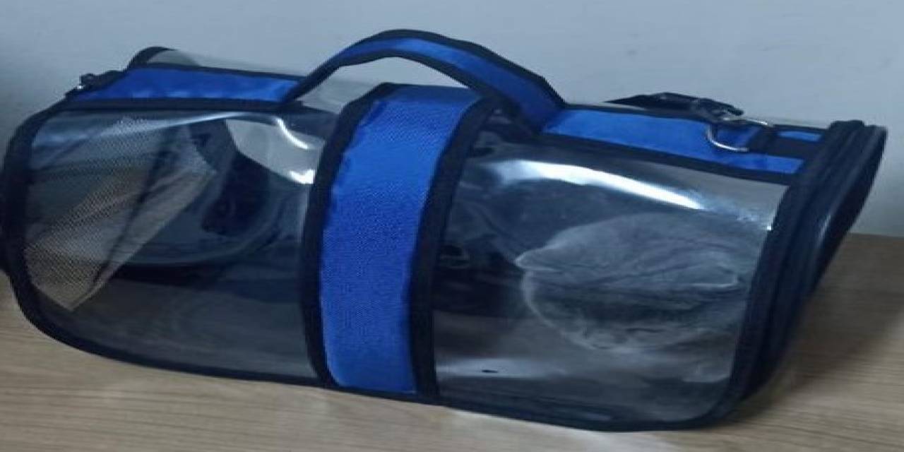 Isparta’da Çalınan 2 Köpek Ve 1 Kedi Haydi Ekipleri Tarafından Bulundu