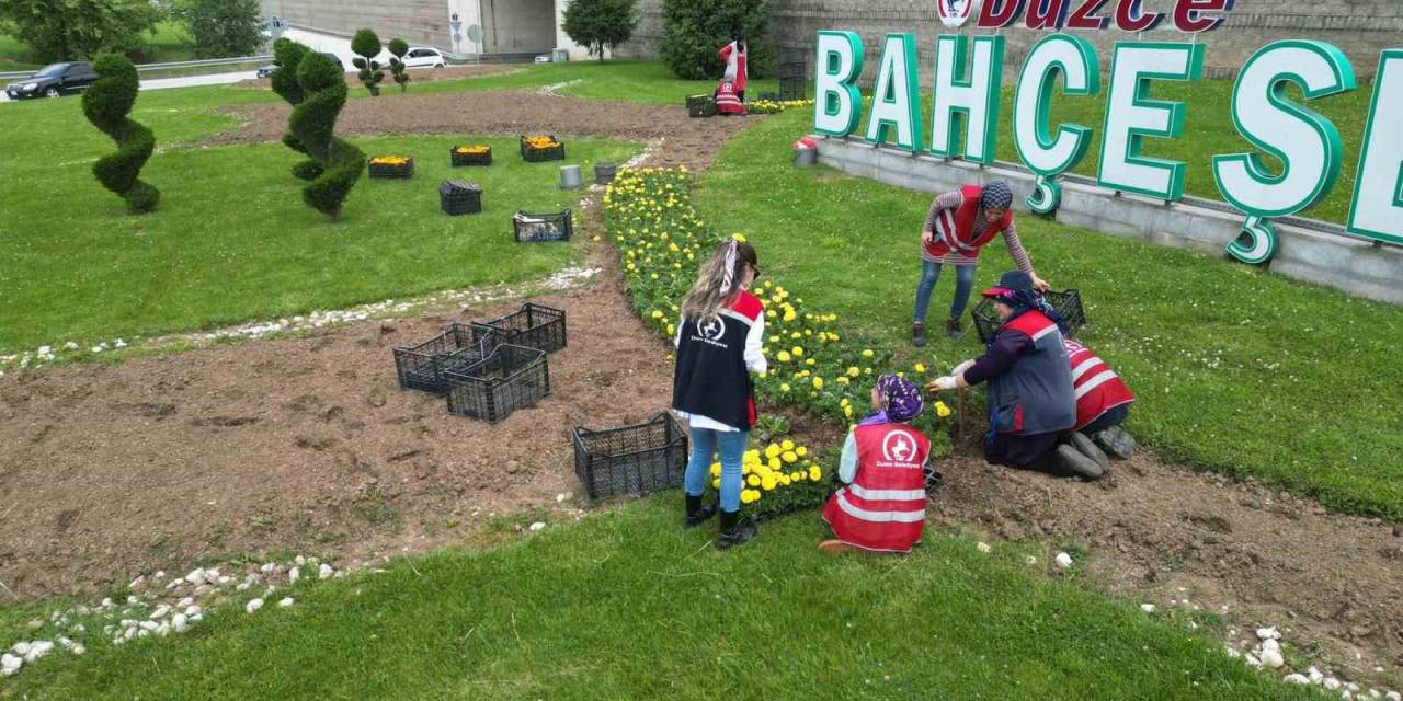 Rengarenk Çiçekler Toprakla Buluştu