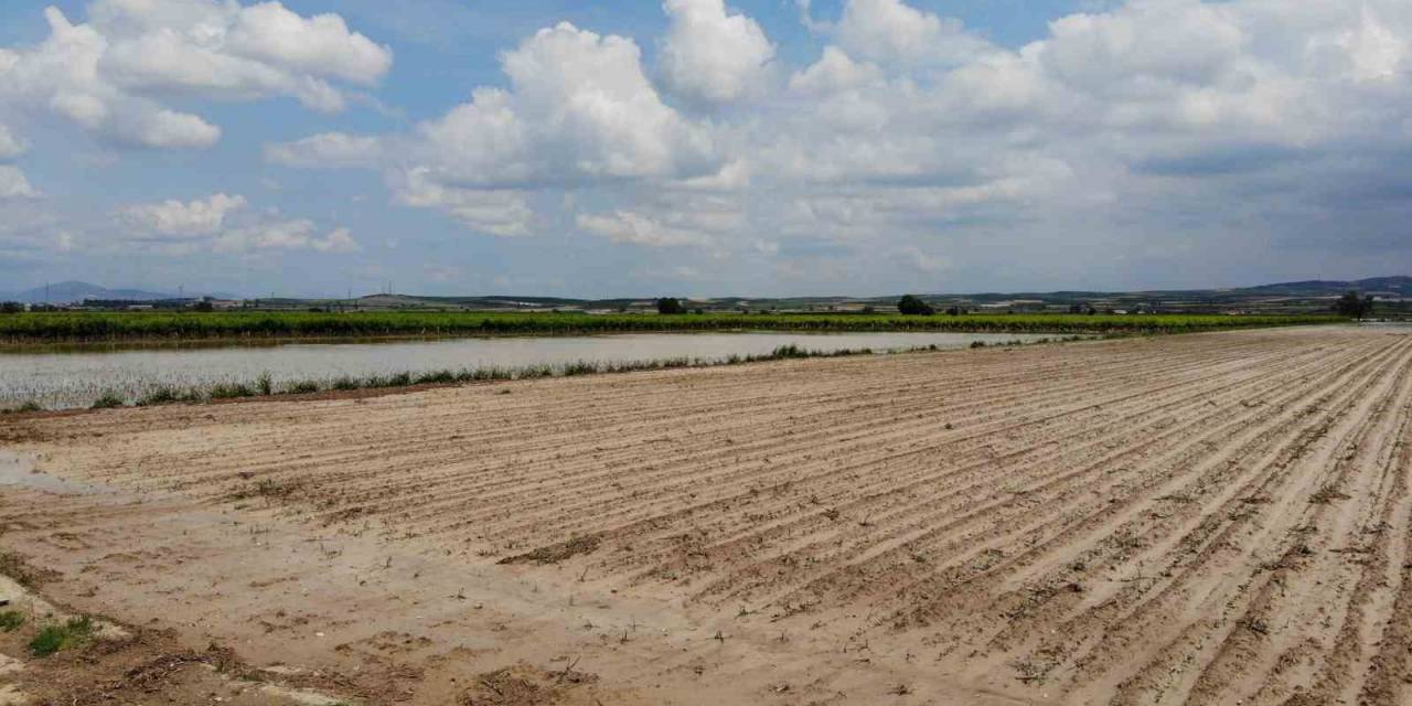 Manisa’da Sel Felaketi Tarım Arazilerini Vurdu