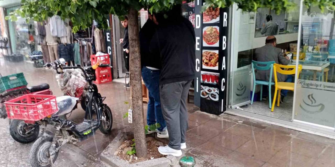 Yağmurdan Korunmak İçin Ağacın Altına Girdiler