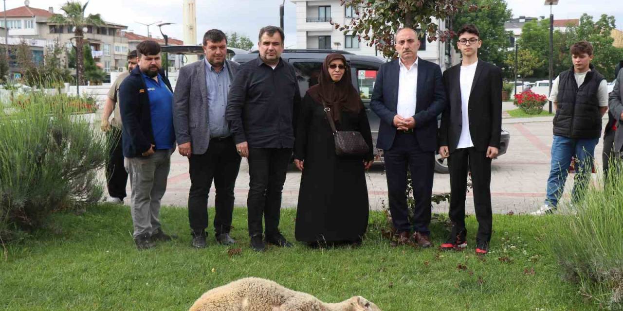 Seçimi Kazanan Cumhurbaşkanı Erdoğan İçin İlçe Belediyesinin Bahçesinde Koç Kestirdi