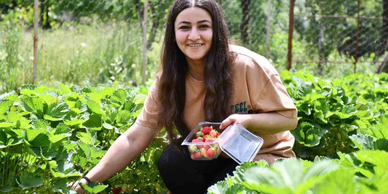 Uludereli Tek Kadın Girişimciye Devletten Yüzde Yüz Hibe