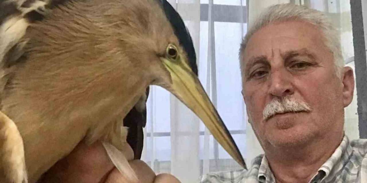 Vatandaşların Bulduğu Nesli Tehlike Altında Olan Balaban Kuşları, Koruma Altına Alındı