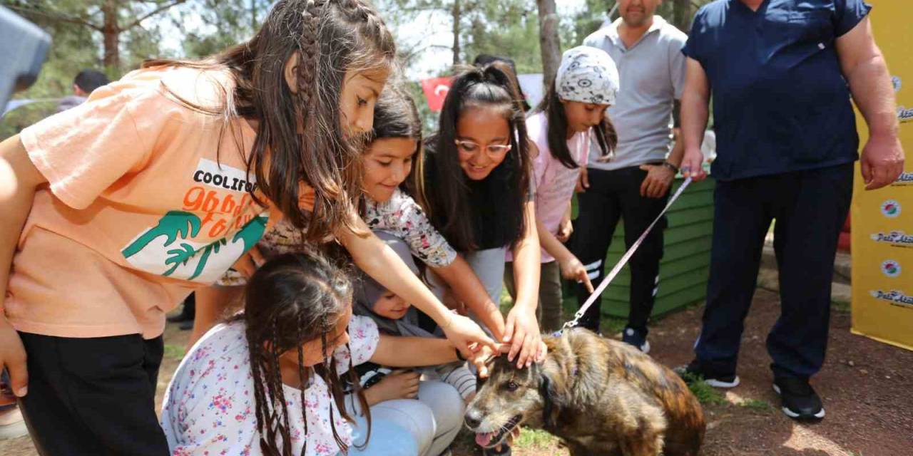 Kepez’in Pati Atölyesi’nden Sokak Hayvanlarına Yuva