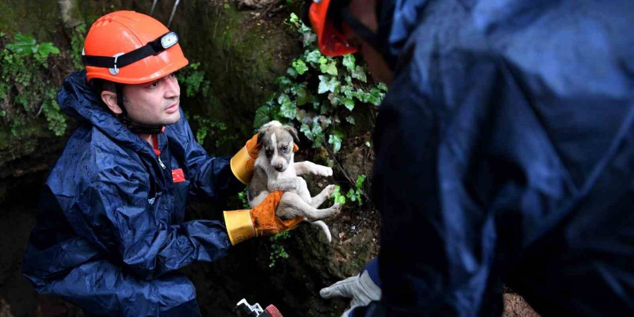 5 Metrelik Çukurda Mahsur Kalan Yavru Köpek Kurtarıldı
