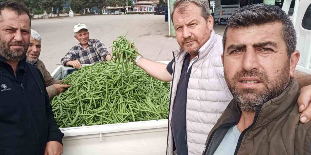 Bursa’da Nazende Fasulye Çıktı