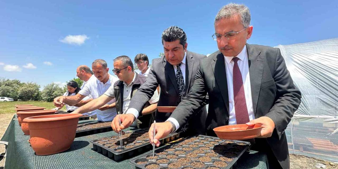 Elazığ Hipodrom Müdürlüğünün Üreteceği Binlerce Çiçek Hipodromları Renklendirecek