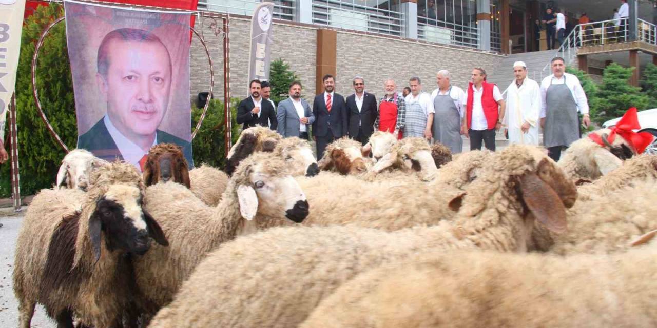 Elazığlı İş Adamı, Yeniden Seçilen Cumhurbaşkanı Erdoğan İçin 20 Adak Kurbanı Kesti