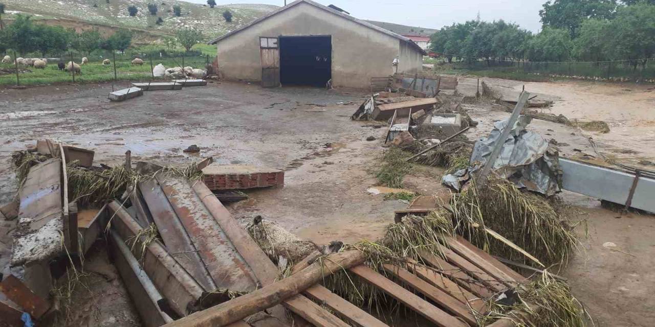Elazığ’da Sağanak Yağış Hayatı Felç Etti, 105 Hayvan Telef Oldu