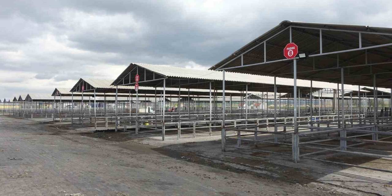 Kurban Bayram’ı Öncesi Sivas’ta Tüm Hayvan Pazarları Kapatıldı