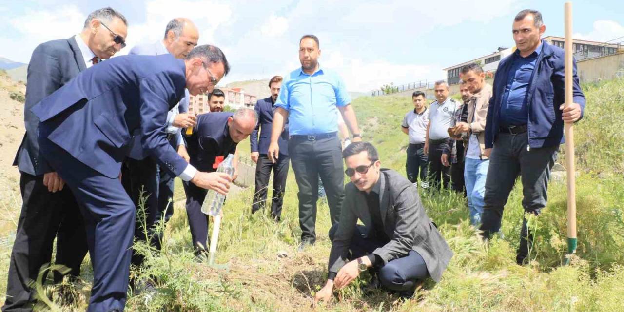 Hakkari’de "dünya Tütünsüz Günü’nde Fidan Dikildi