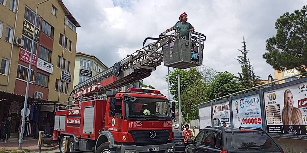 Kargadan Kaçan Yavru Kedi Ağaçta Mahsur Kaldı
