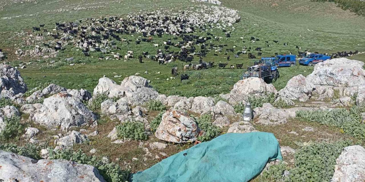 Karaman’da Bir Kadın Eşi Ve Kendisini Darp Eden Kayınbiraderini Bıçaklayarak Öldürdü
