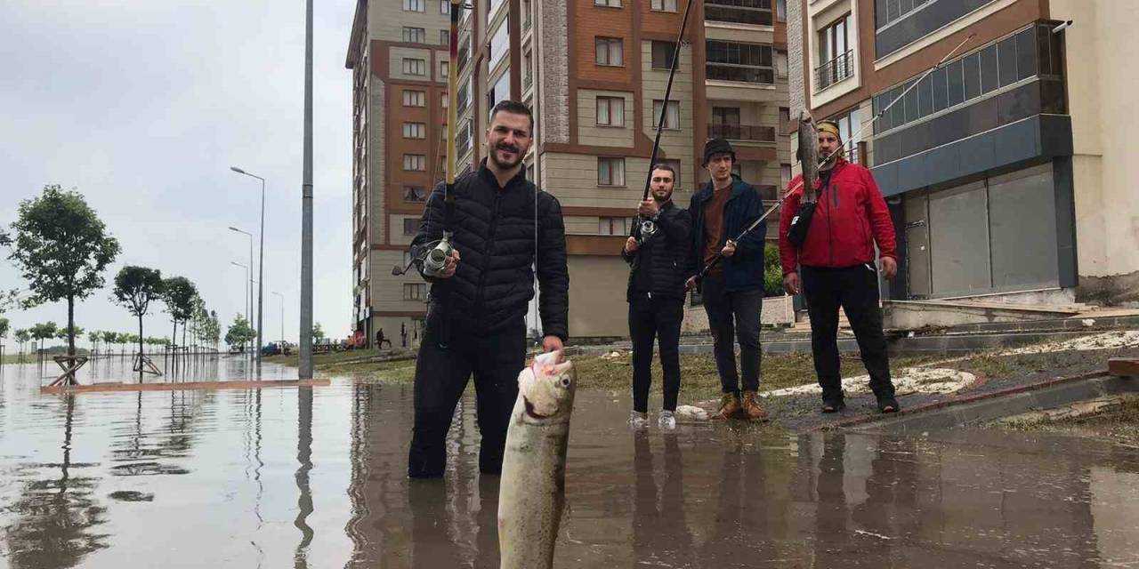 Gençlerden Chp’li Belediyeye İlginç Tepki: Göle Dönen Yolda Balık Tuttular