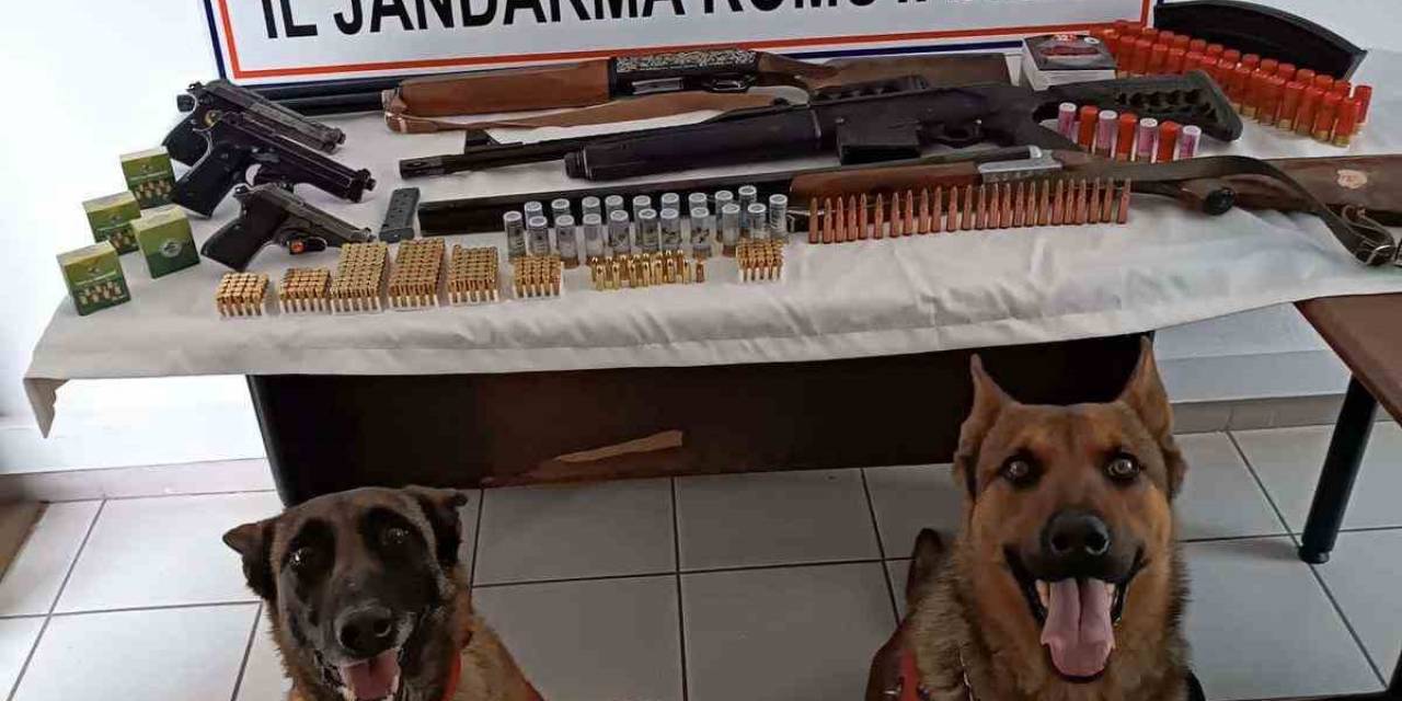 Jandarmadan Ruhsatsız Tabanca Ve Tüfek Operasyonu
