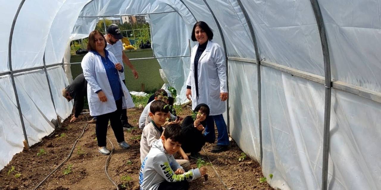 Öğrenciler Fideleri Toprakla Buluşturdu