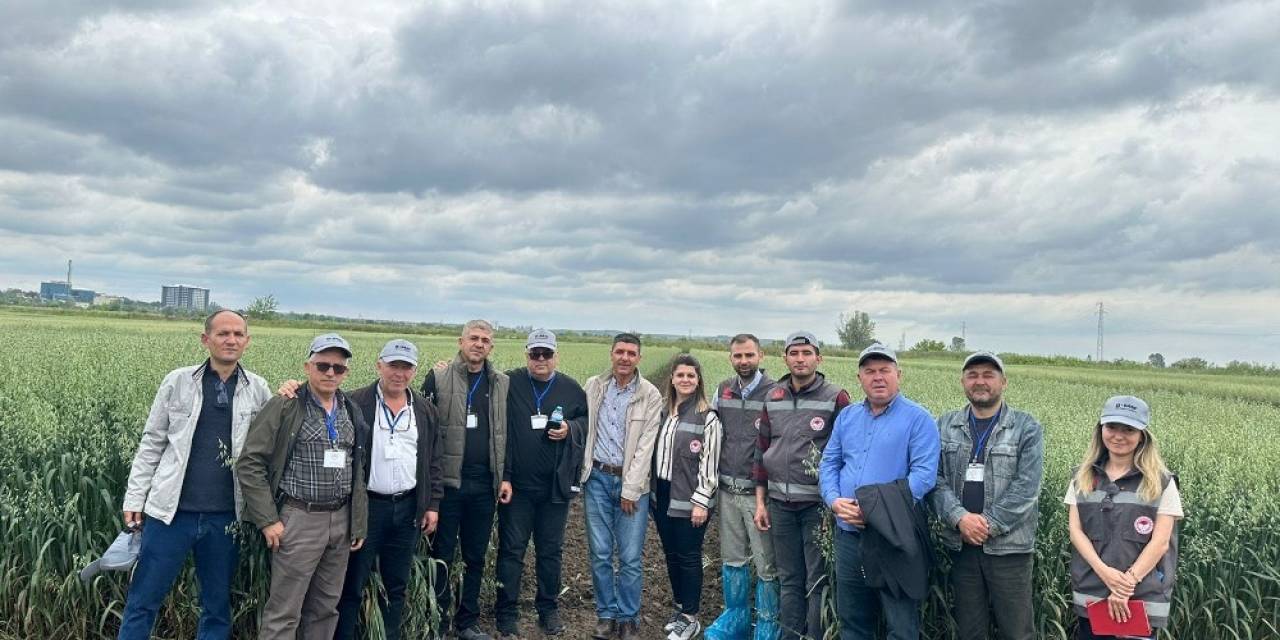 Deneme Amacıyla Ekilen Tahıl Ve Aromatik Bitkiler İncelendi