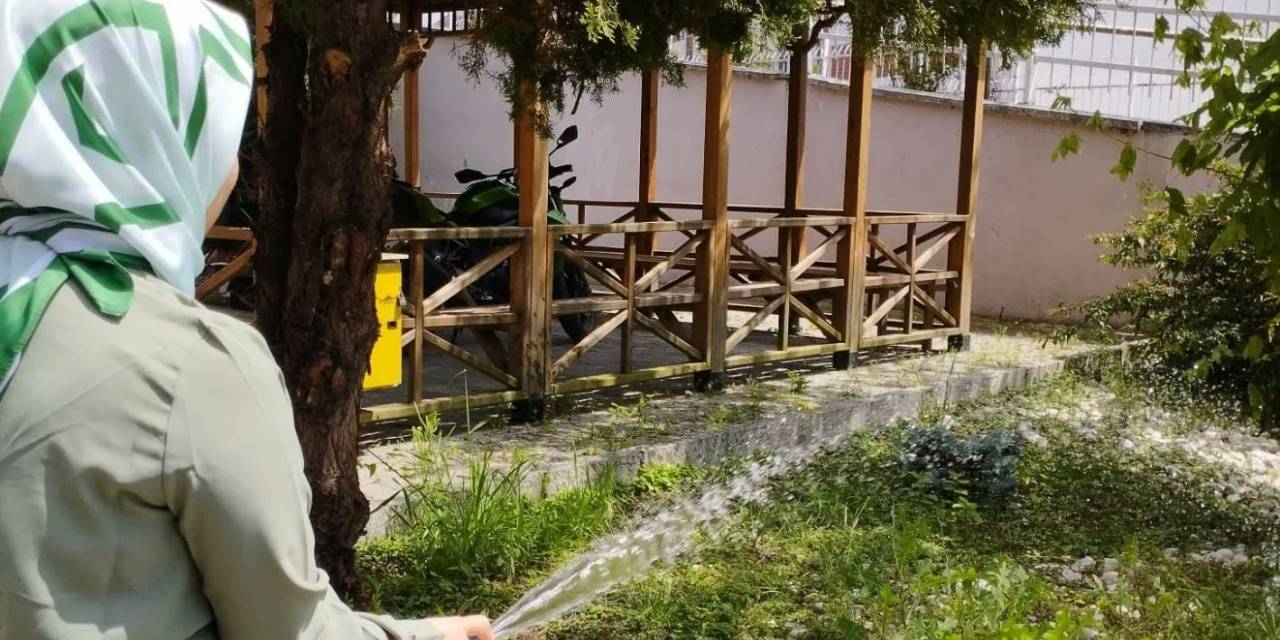 Ağaçları Sulayarak Dikkat Çektiler