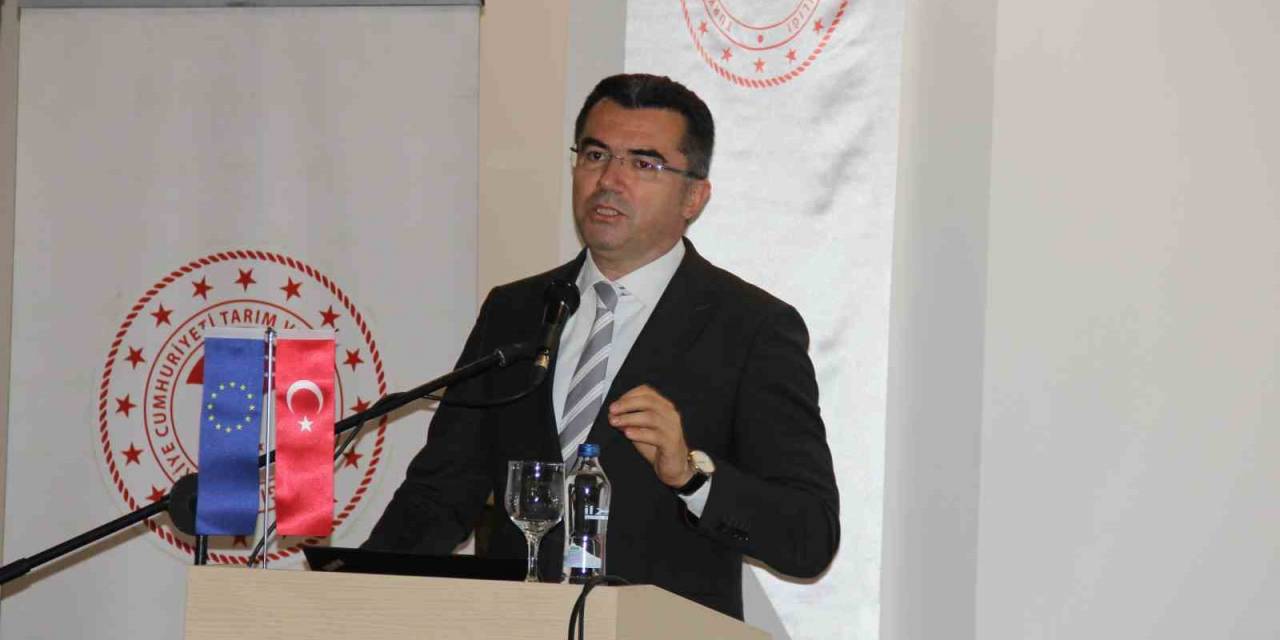 Tkdk’den 275 Projeye 615 Milyon Destek