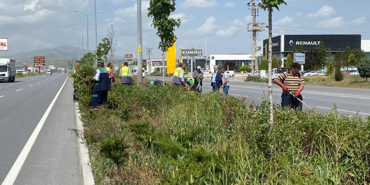 Kayseri’de Yabancı Otlarla Mücadele
