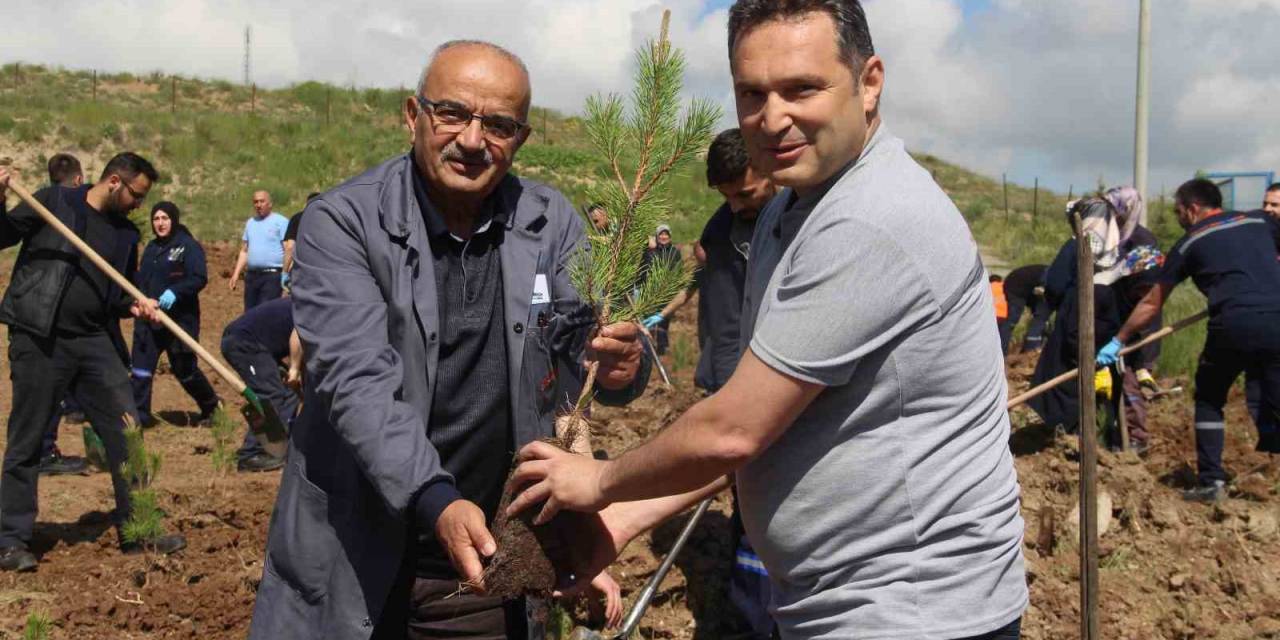 Fabrika Çalışanları Mesaiye Fidan Dikerek Başladı