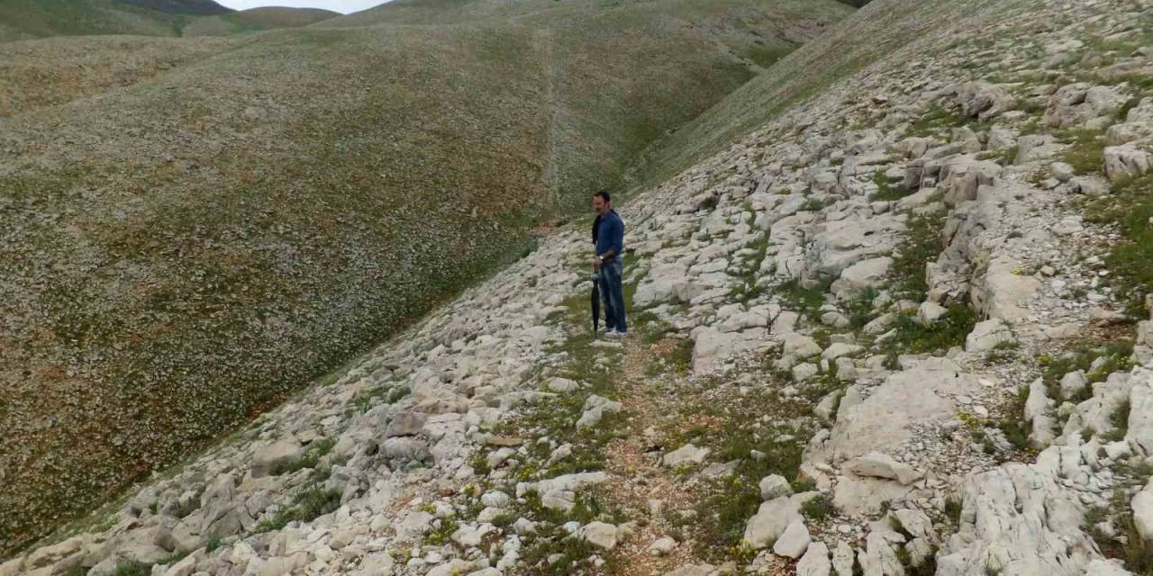 Tunceli’de, 3 Bin Yıl Önceye Ait Olduğu Düşünülen Yol Bulundu