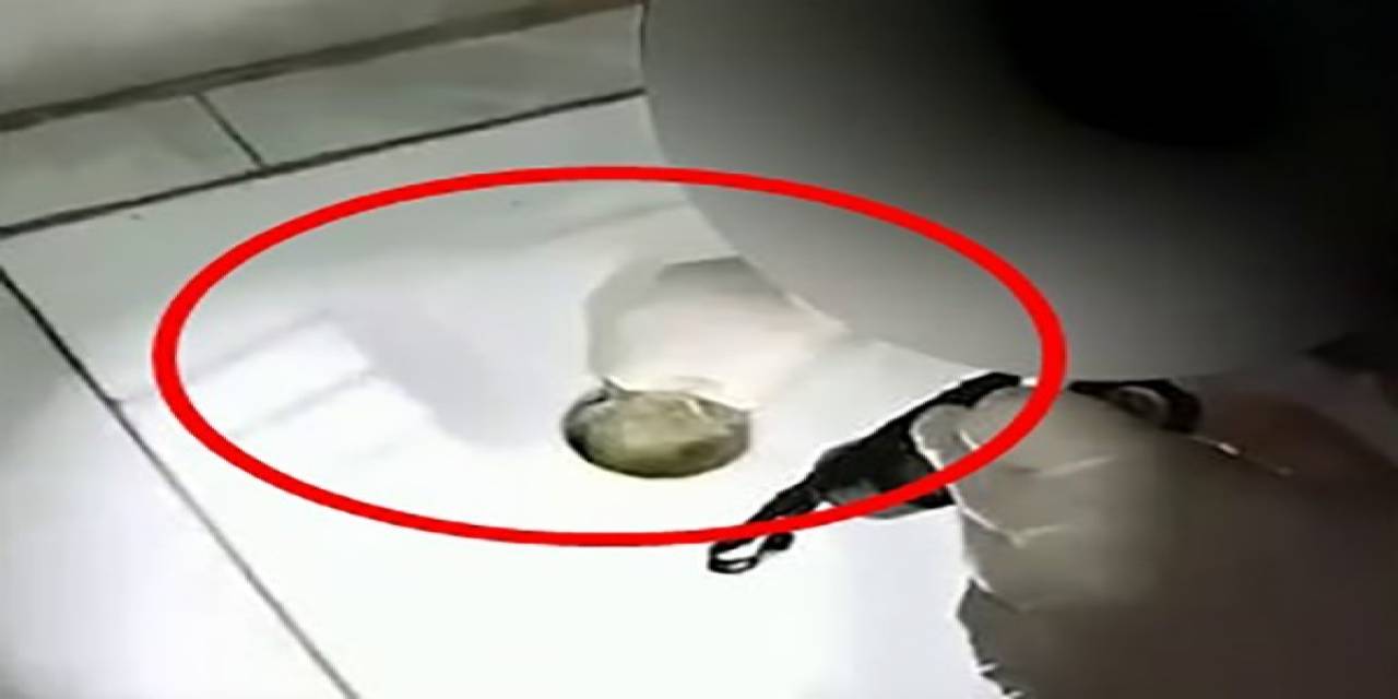 Uyuşturucu Bakın Nereden Çıktı