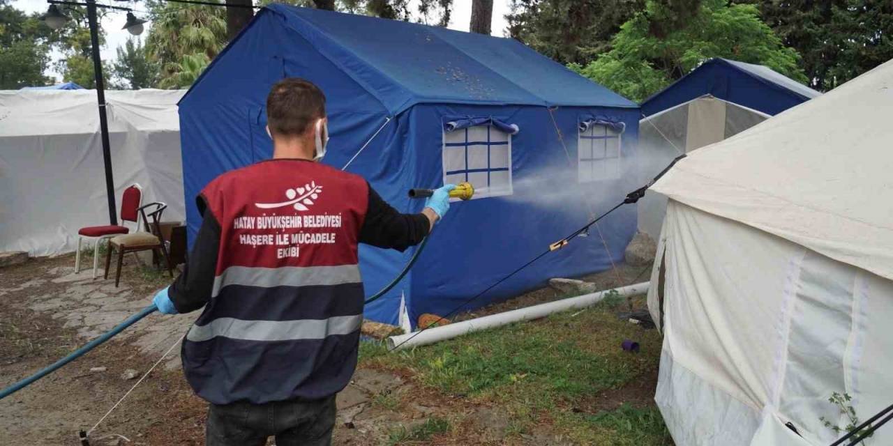 Hatay’da Deprem Sonrası Haşere Üreme Alanı 120 Binden 1 Milyona Çıktı