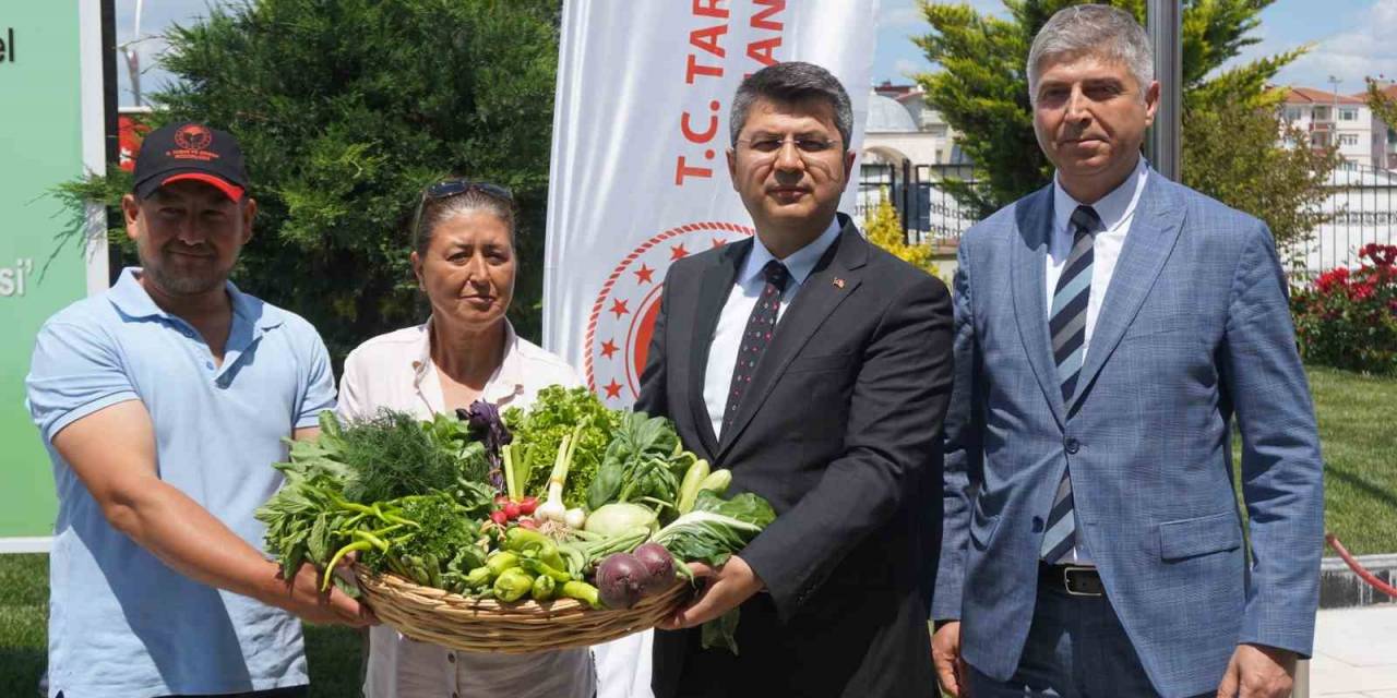 Edirne’de Örtü Altı Tarımla Üretilen Ürünler İstanbul Pazarında Alıcı Bulacak