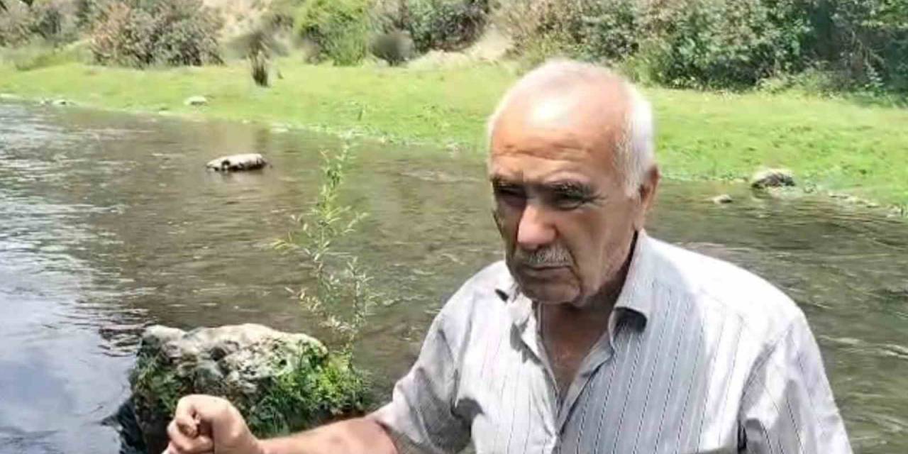 Osmaniye’deki Sabun Çayı’nda Balık Ölümleri