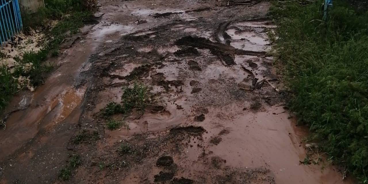 Sağanak Sele Dönüştü, Tarım Arazileri Zarar Gördü